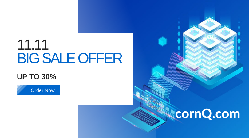 11.11 BIG SALE DISCOUNT